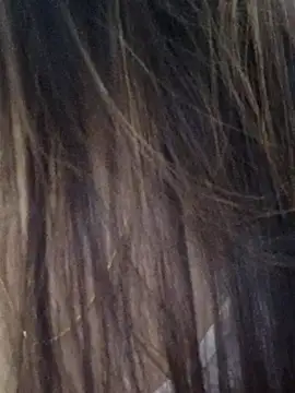 DPK25 online show from 12-21-25, 11:06