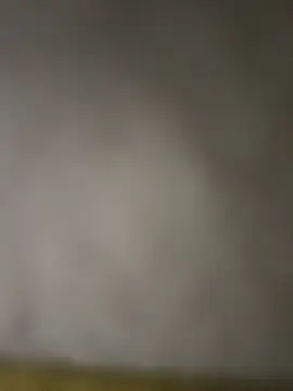 taraaek online show from 03-07-26, 12:07