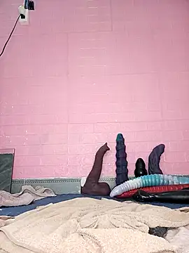 Rose 194 online show from 11-18-25, 02:06