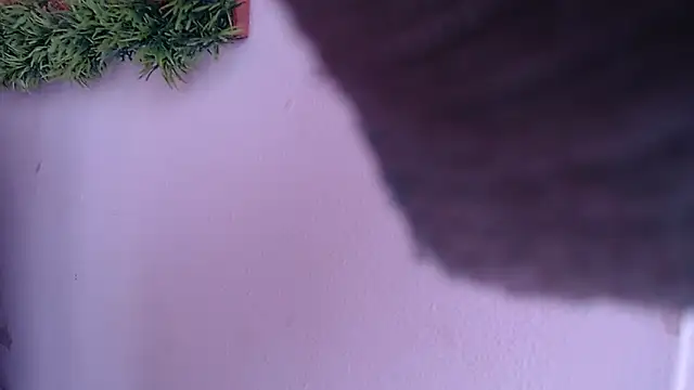 IVONNE COLLINS33 online show from 09-24-25, 01:47