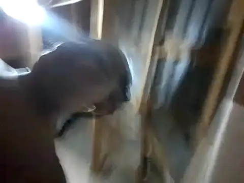 BigAssjuicy26 online show from 10-27-25, 10:14