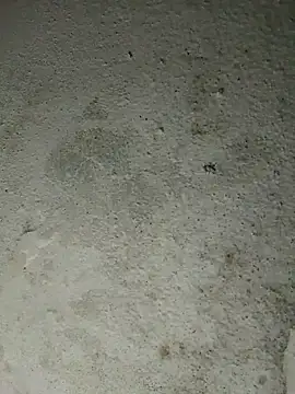 Snapshot of altafhyd chatting on 10-05-25, 10:57 altafhyd online show from 10-05-25, 10:57