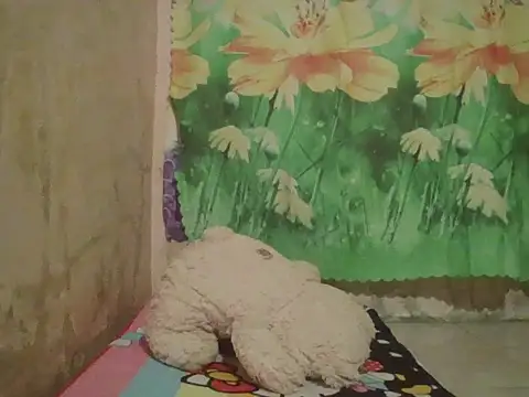 sexymorenal18 online show from 09-27-25, 01:38