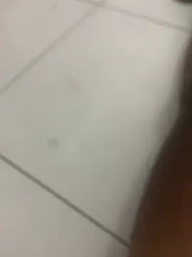 Snapshot of novin21rj chatting on 04-07-26, 12:55 novin21rj online show from 04-07-26, 12:55