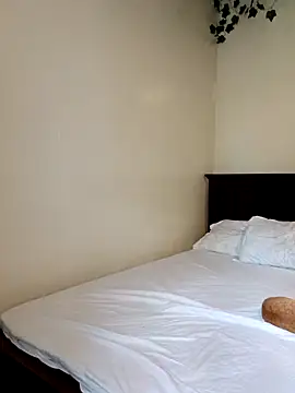 Nedambale online show from 03-11-26, 11:38