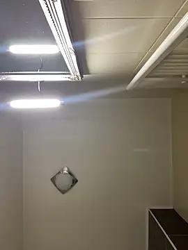 Lexi Storm online show from 03-02-26, 06:14