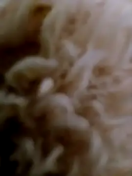 hanan-sex online show from 11-29-25, 07:28