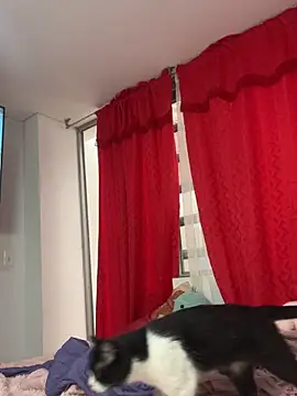 Snapshot of larsonbeverly chatting on 04-21-26, 05:50 larsonbeverly online show from 04-21-26, 05:50