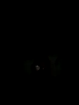 philefc online show from 11-03-25, 07:42