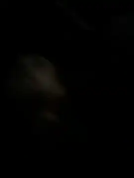 high3ndlowlife online show from 11-27-25, 02:13