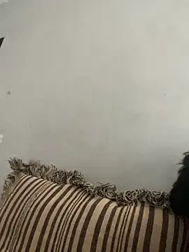 NoddingScorpion online show from 11-10-25, 08:35