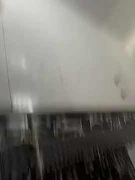 NoddingScorpion online show from 03-08-26, 10:30