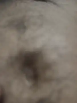 Snapshot of Hat-Raja77 chatting on 10-08-25, 06:27 Hat-Raja77 online show from 10-08-25, 06:27