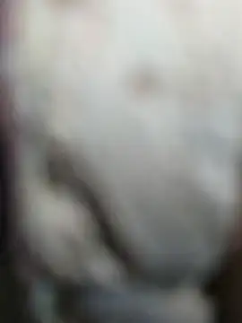RicaSuave 69 online show from 08-04-26, 10:56
