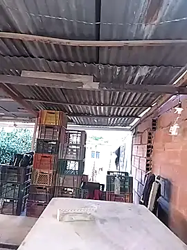 hoteder online show from 02-11-26, 12:10