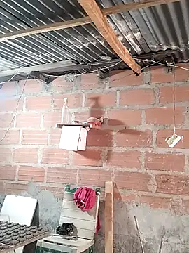 hoteder online show from 04-19-26, 12:04