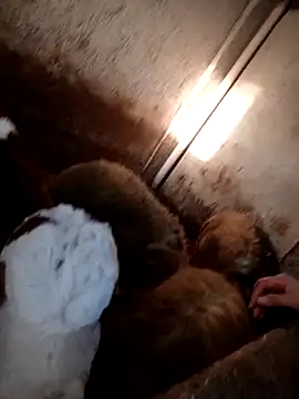 ezgi2545 online show from 02-20-26, 02:39