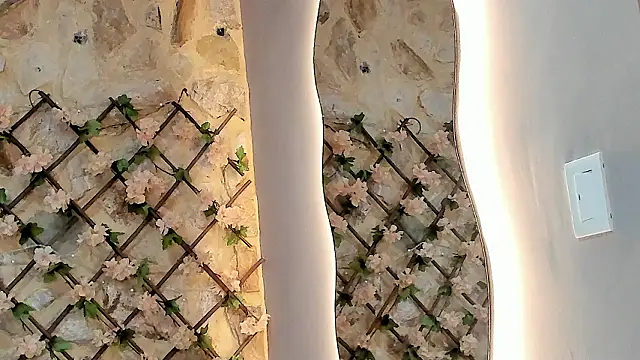 VenusBlazer online show from 02-07-26, 03:21