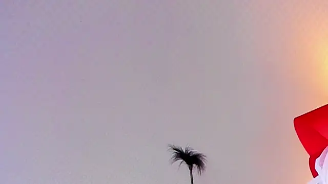 Lillie Berry online show from 10-25-25, 04:42