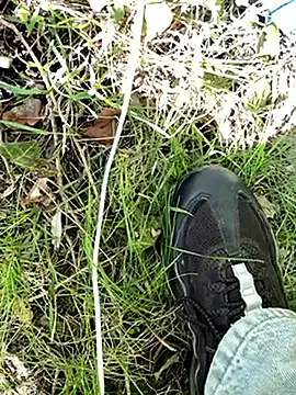 Leonddx online show from 04-22-26, 01:12