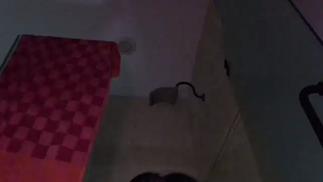 Snapshot of TallDrink11 chatting on 09-29-25, 10:25 TallDrink11 online show from 09-29-25, 10:25