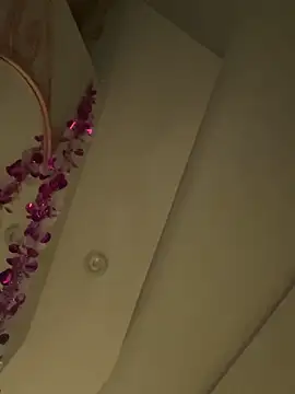 HaltBrand online show from 03-01-26, 09:11