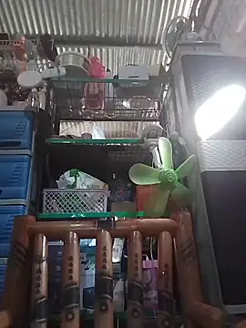 oceanlover23 online show from 11-27-25, 12:46