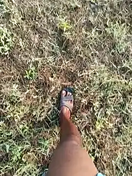 dolphiinn online show from 03-08-26, 02:04