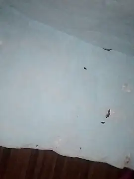 Snapshot of Rakhi_j chatting on 02-01-26, 02:21 Rakhi j online show from 02-01-26, 02:21