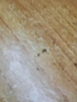 Markroco696 online show from 10-06-25, 03:09