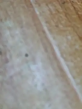 Markroco696 online show from 10-09-25, 04:10