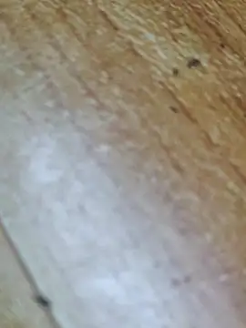 Markroco696 online show from 10-12-25, 02:32