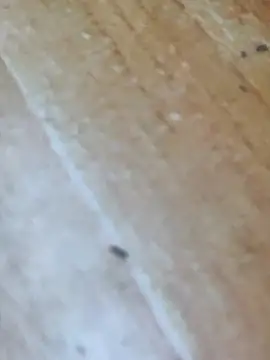 Markroco696 online show from 10-16-25, 04:24