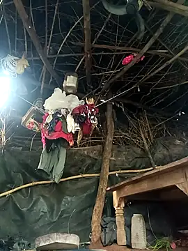 cute diya 12 online show from 11-05-25, 02:22