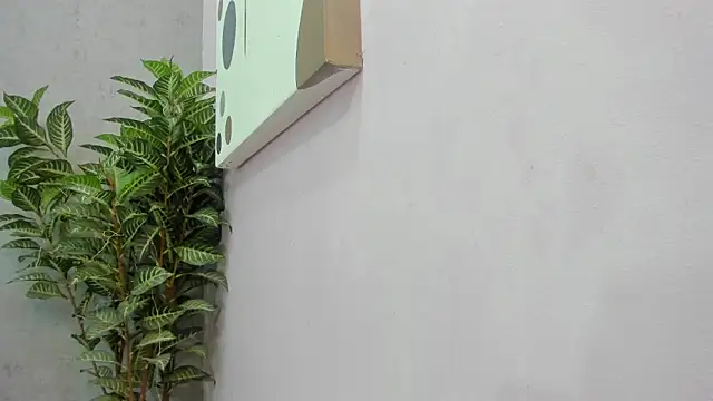 scarlett646 online show from 12-02-25, 03:12