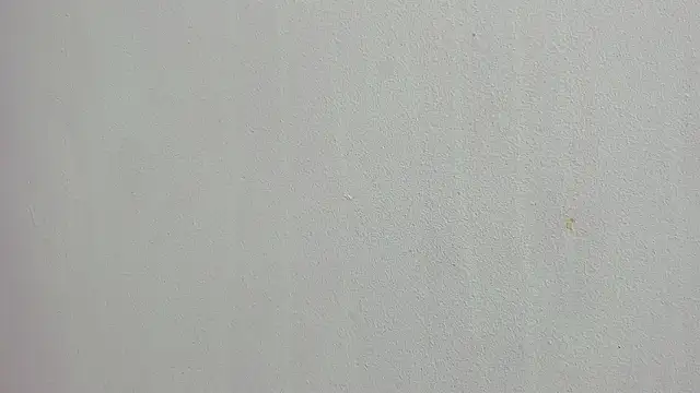 scarlett646 online show from 03-06-26, 03:03