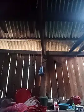 Ngocmi909 online show from 03-06-26, 12:40