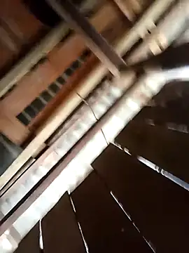 Ngocmi909 online show from 03-22-26, 03:10