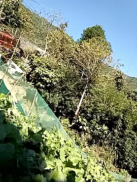 Maymay0033 online show from 11-29-25, 04:59