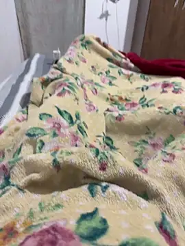 Nupau online show from 03-07-26, 07:44