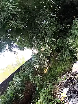 Snapshot of onlymasti00 chatting on 11-04-25, 08:57 onlymasti00 online show from 11-04-25, 08:57