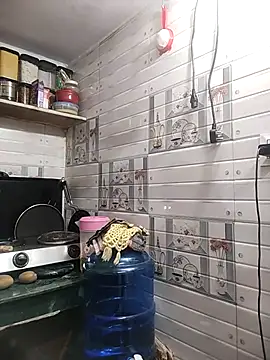 meenu bhabhi547 online show from 04-15-26, 01:56