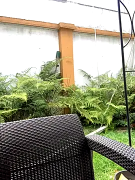 Jasmin Pink online show from 09-25-25, 03:27