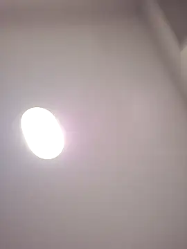 Danypeluche online show from 12-15-25, 08:40