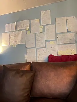 Canneela online show from 03-07-26, 07:00