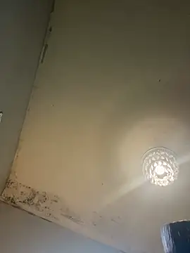 Victoriasteel online show from 02-20-26, 11:22