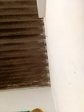 Sapna9685 online show from 11-15-25, 09:06