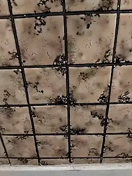 Snapshot of rosembertg chatting on 10-02-25, 01:07 rosembertg online show from 10-02-25, 01:07