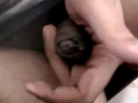 Bakasur 19 online show from 10-09-25, 03:32