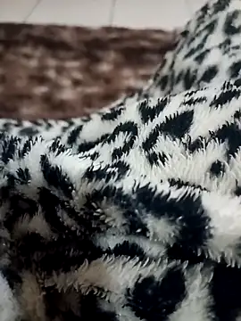 Gauderio40 online show from 11-21-25, 04:11